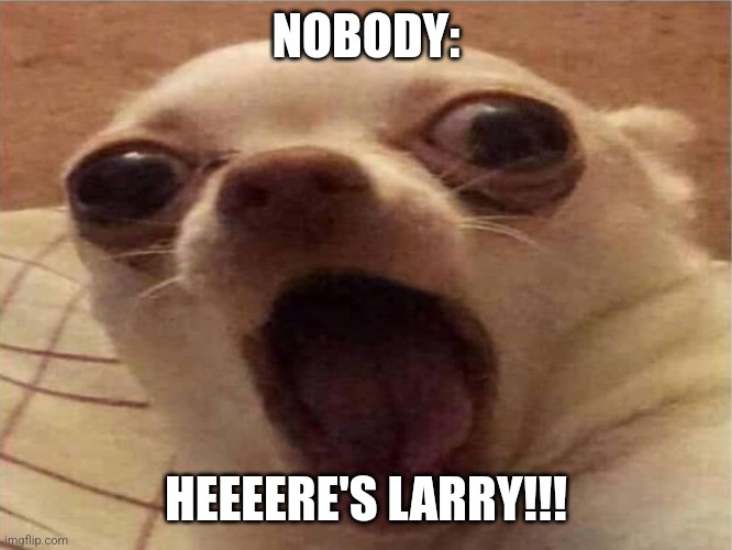 Heeeere's Larry!!! | NOBODY:; HEEEERE'S LARRY!!! | image tagged in suprised dog,jpfan102504 | made w/ Imgflip meme maker
