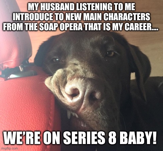 My Husband listening to me introducing the new main characters into the soap opera that is my career… | MY HUSBAND LISTENING TO ME INTRODUCE TO NEW MAIN CHARACTERS FROM THE SOAP OPERA THAT IS MY CAREER…. WE’RE ON SERIES 8 BABY! | image tagged in work,career,you had one job,husband,funny,manager | made w/ Imgflip meme maker