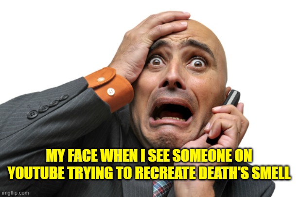 ...no comment | MY FACE WHEN I SEE SOMEONE ON YOUTUBE TRYING TO RECREATE DEATH'S SMELL | image tagged in scared face | made w/ Imgflip meme maker