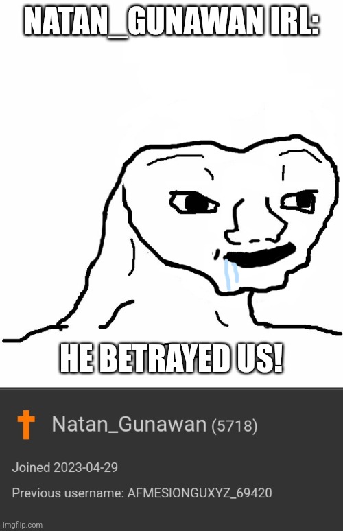 Why... | NATAN_GUNAWAN IRL:; HE BETRAYED US! | image tagged in brainless | made w/ Imgflip meme maker