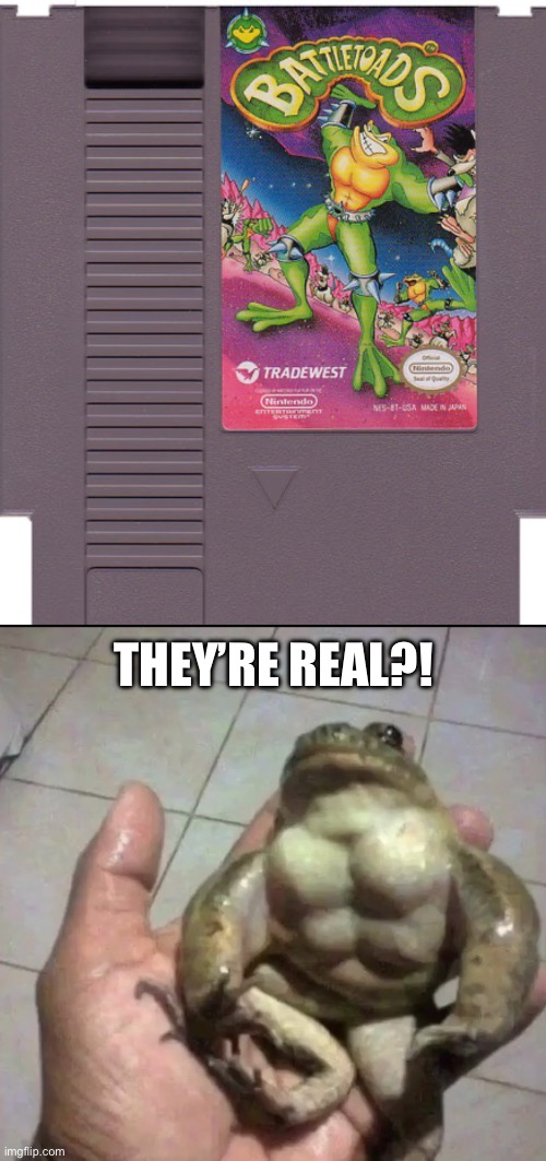 Battletoads irl | THEY’RE REAL?! | image tagged in buff frog,battletoads,nes,video games,toads,frog | made w/ Imgflip meme maker