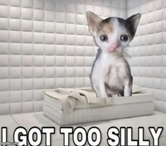 WHY IS MSMG SO EMPTY LIKE HELLOOOOO IS ANYBODY GONNA UPVOTE ANYTHING IS IMGFLIP.com EMPTY????? | made w/ Imgflip meme maker