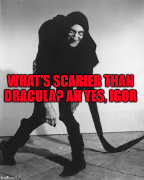 Igor the Hunchback | WHAT'S SCARIER THAN DRACULA? AH YES, IGOR | image tagged in igor the hunchback | made w/ Imgflip meme maker