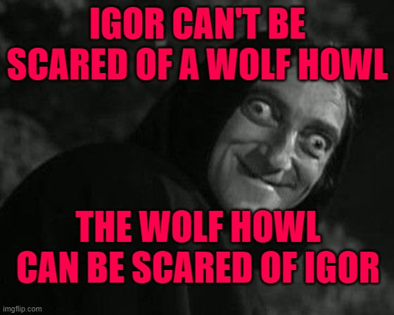 Igor eyes | IGOR CAN'T BE SCARED OF A WOLF HOWL; THE WOLF HOWL CAN BE SCARED OF IGOR | image tagged in igor eyes | made w/ Imgflip meme maker