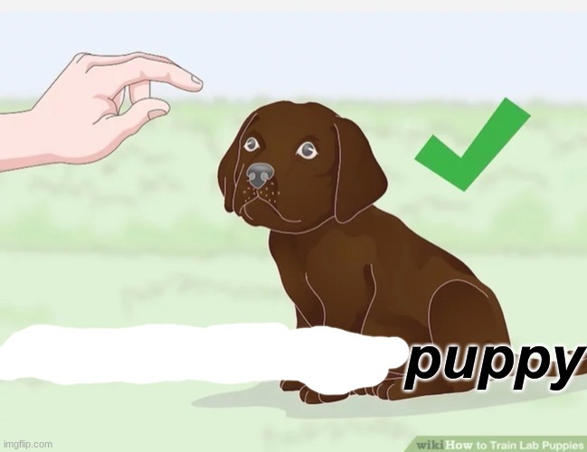 Please do the puppy | image tagged in please do the puppy | made w/ Imgflip meme maker