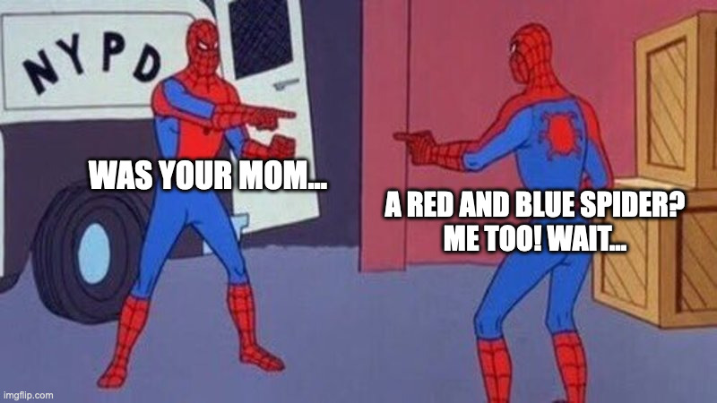 Spiders Have Lots of Babies | WAS YOUR MOM... A RED AND BLUE SPIDER?
ME TOO! WAIT... | image tagged in spiderman pointing at spiderman,spider,memes,funny | made w/ Imgflip meme maker