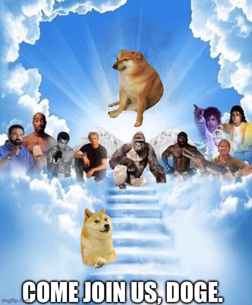 We miss you, Kabosu | COME JOIN US, DOGE. | image tagged in join us,doge,rip | made w/ Imgflip meme maker
