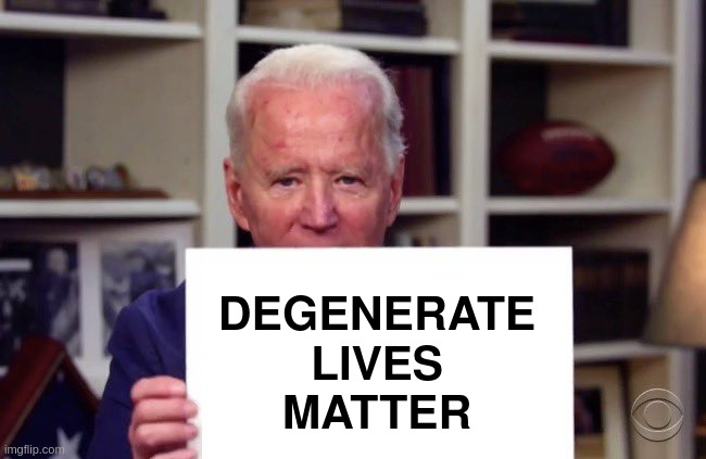 DLM | DEGENERATE
LIVES
MATTER | image tagged in joe biden sign | made w/ Imgflip meme maker