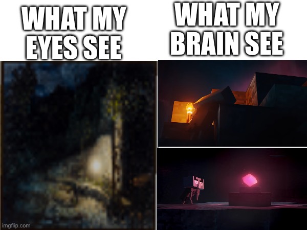 WHAT MY BRAIN SEE; WHAT MY EYES SEE | made w/ Imgflip meme maker