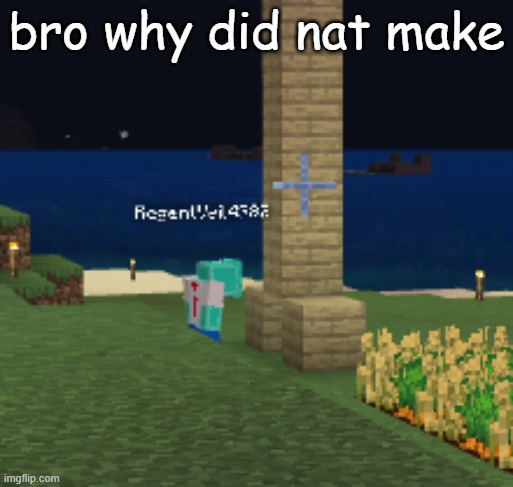 it goes to build height btw | bro why did nat make | made w/ Imgflip meme maker
