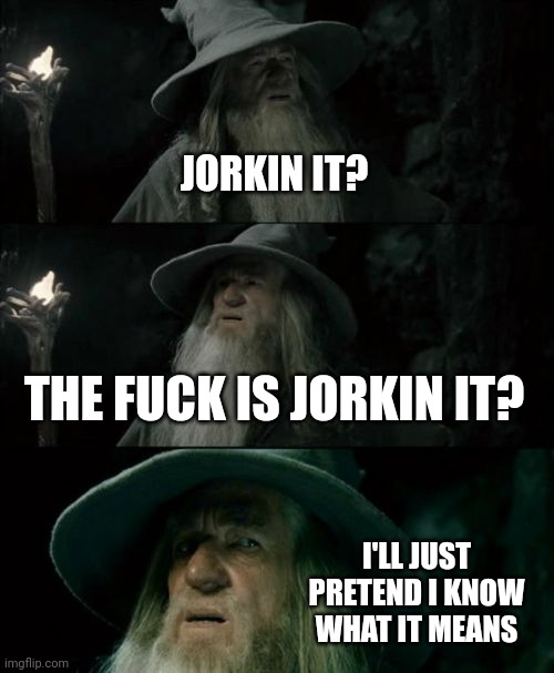 Jorkin it? | JORKIN IT? THE FUCK IS JORKIN IT? I'LL JUST PRETEND I KNOW WHAT IT MEANS | image tagged in memes,confused gandalf | made w/ Imgflip meme maker