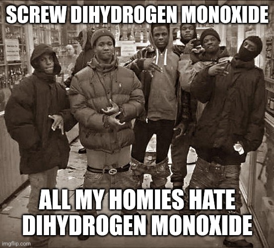 All My Homies Hate | SCREW DIHYDROGEN MONOXIDE; ALL MY HOMIES HATE DIHYDROGEN MONOXIDE | image tagged in all my homies hate | made w/ Imgflip meme maker