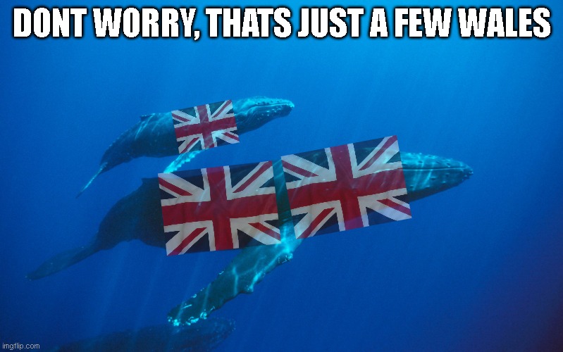 Probably the most stupid pun you will ever see | DONT WORRY, THATS JUST A FEW WALES | image tagged in baby blue whale | made w/ Imgflip meme maker