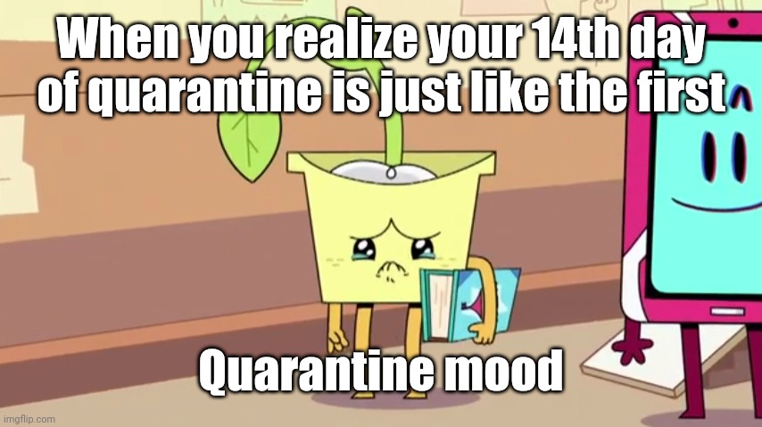 The fact that it was like more than 4 years | When you realize your 14th day of quarantine is just like the first; Quarantine mood | image tagged in memes,2020,quarantine | made w/ Imgflip meme maker