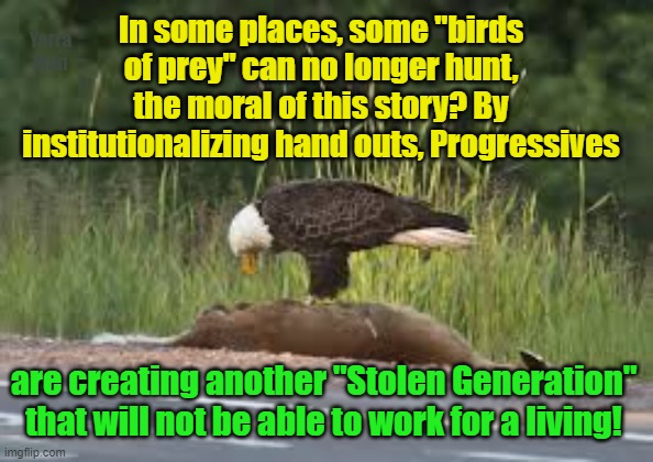 Progressive's, Institutionalizing hand outs are causing yet another tragedy. | In some places, some "birds of prey" can no longer hunt, the moral of this story? By institutionalizing hand outs, Progressives; Yarra Man; are creating another "Stolen Generation" that will not be able to work for a living! | image tagged in labor,democrats,california,aboriginals,woke,self gratification by proxy | made w/ Imgflip meme maker