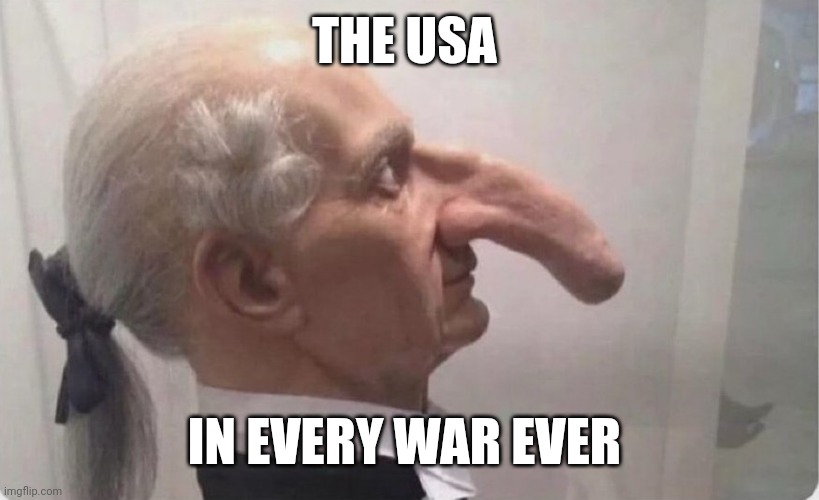 The USA in every war ever | THE USA; IN EVERY WAR EVER | image tagged in history memes,america,usa,nose,nosey,wwii | made w/ Imgflip meme maker