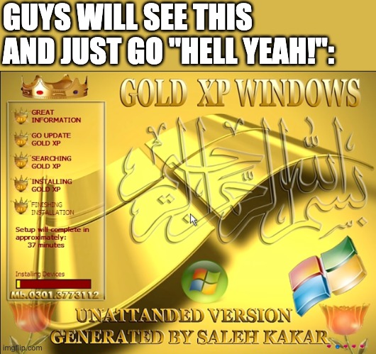 Baller OS ngl | GUYS WILL SEE THIS AND JUST GO "HELL YEAH!": | image tagged in windows xp,windows,funny,computer,operating system,os | made w/ Imgflip meme maker