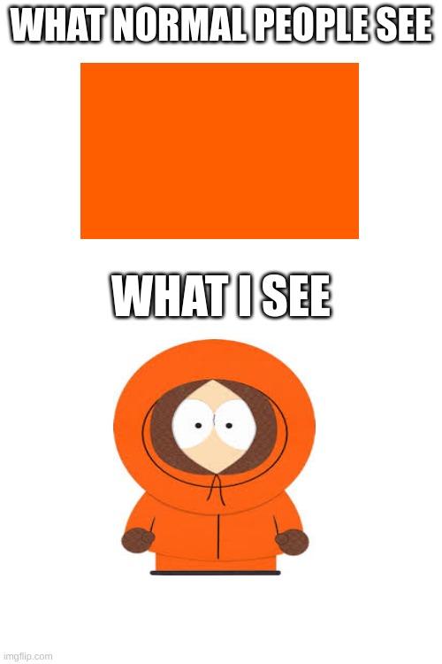 Memes Only South Park Fans Will Relate To | WHAT NORMAL PEOPLE SEE; WHAT I SEE | image tagged in kenny,orange,south park | made w/ Imgflip meme maker