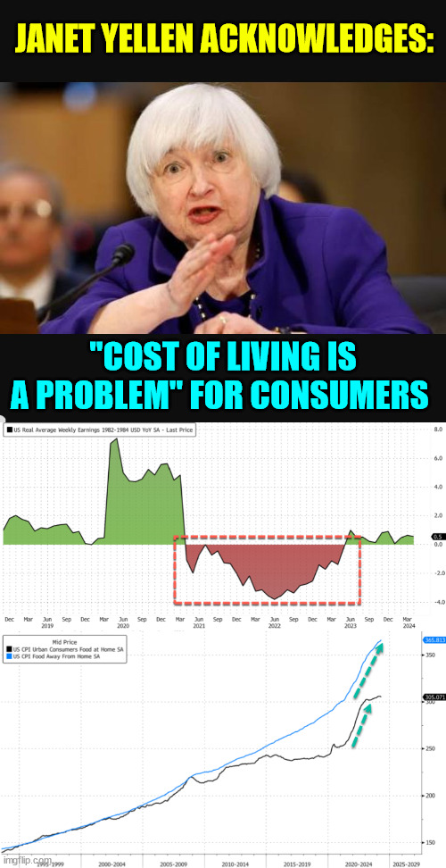 Yellen finally states the obvious | JANET YELLEN ACKNOWLEDGES:; "COST OF LIVING IS A PROBLEM" FOR CONSUMERS | image tagged in yellen and screaming,states the obvious | made w/ Imgflip meme maker