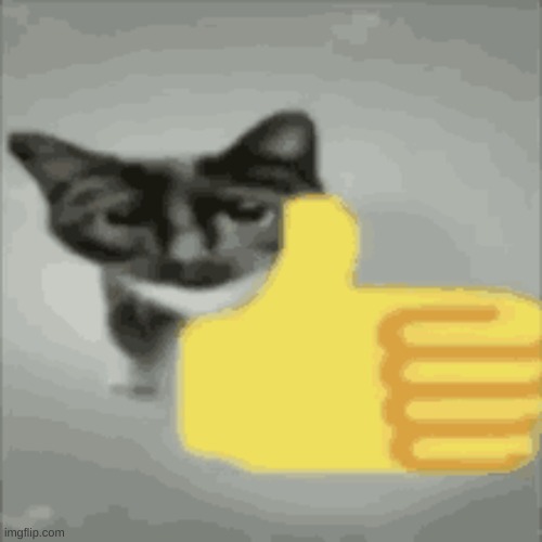 image tagged in cat thumbs up | made w/ Imgflip meme maker