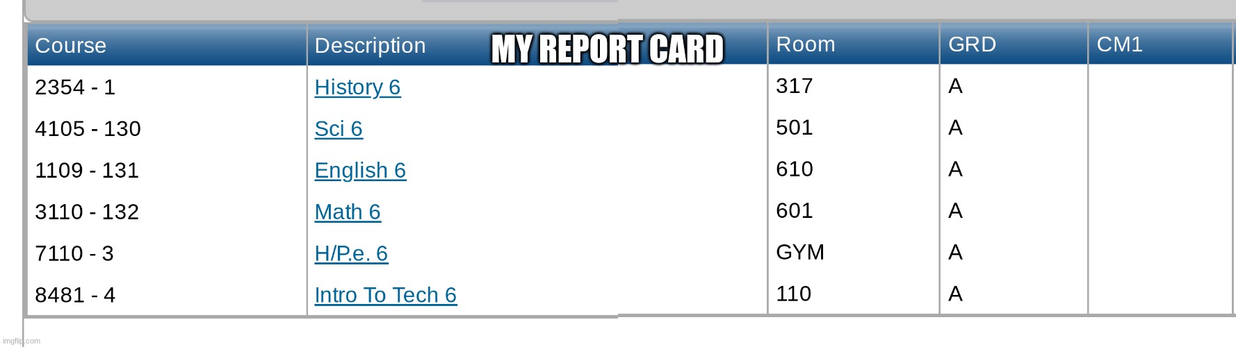 MY REPORT CARD | made w/ Imgflip meme maker