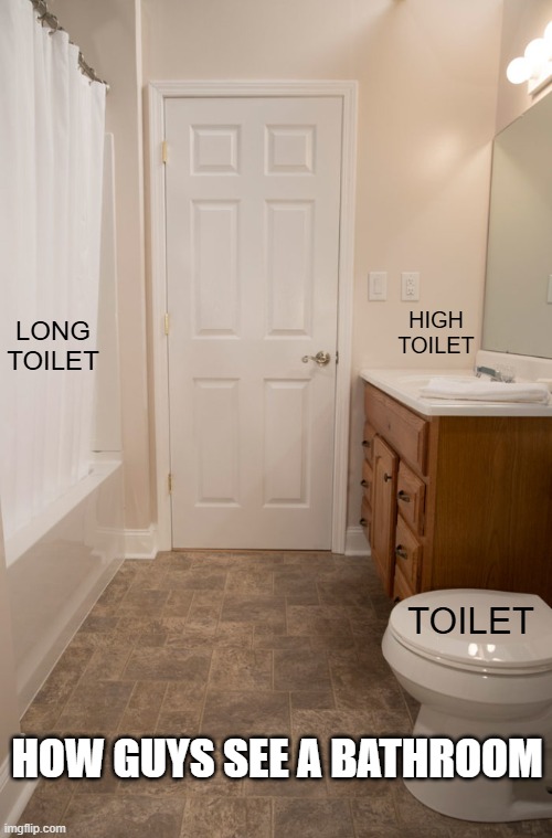 It all goes to the same place anyway... | LONG TOILET; HIGH TOILET; TOILET; HOW GUYS SEE A BATHROOM | image tagged in toilet humor,bathroom humor,bathrooms | made w/ Imgflip meme maker