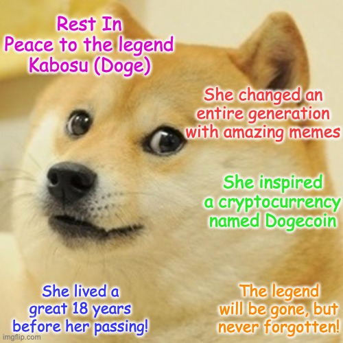 R.I.P | Rest In Peace to the legend Kabosu (Doge); She changed an entire generation with amazing memes; She inspired a cryptocurrency named Dogecoin; She lived a great 18 years before her passing! The legend will be gone, but never forgotten! | image tagged in memes,doge,rip,rest in peace,legend,honor | made w/ Imgflip meme maker