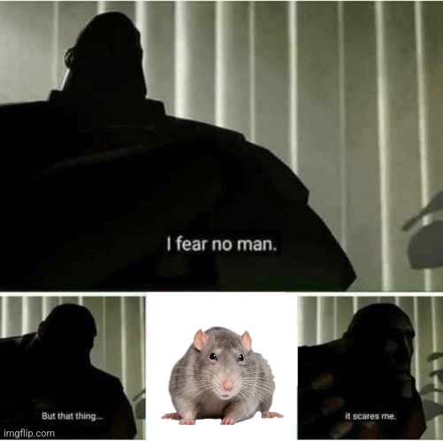 Rats are scary. | image tagged in i fear no man,rats,mouse | made w/ Imgflip meme maker