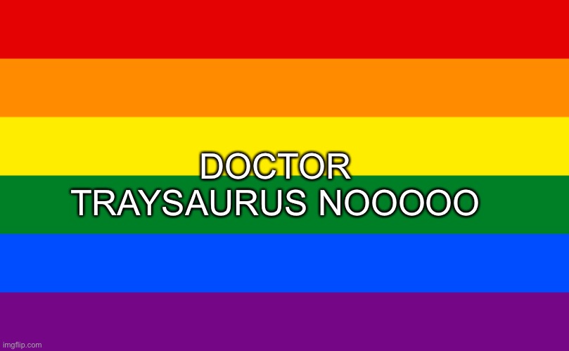 I TOLD YOU NOT TO BE HOMOPHOBIC TODAY | DOCTOR TRAYSAURUS NOOOOO | image tagged in pride flag | made w/ Imgflip meme maker
