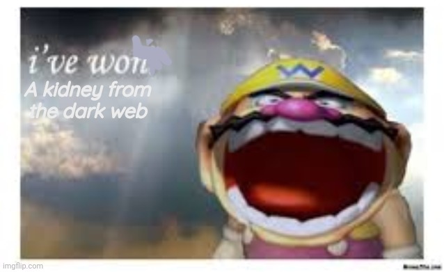 Wario Wins | A kidney from the dark web | image tagged in wario wins | made w/ Imgflip meme maker