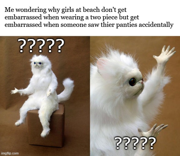 Persian Cat Room Guardian Meme | Me wondering why girls at beach don't get embarrassed when wearing a two piece but get embarrassed when someone saw thier panties accidentally; ????? ????? | image tagged in memes,persian cat room guardian | made w/ Imgflip meme maker