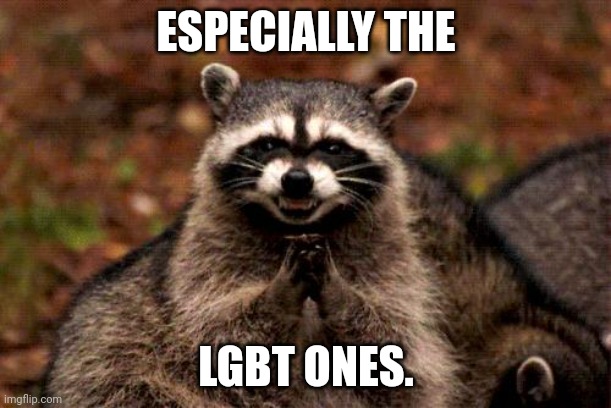 Evil Plotting Raccoon Meme | ESPECIALLY THE LGBT ONES. | image tagged in memes,evil plotting raccoon | made w/ Imgflip meme maker