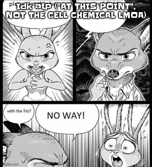 With tha frizzle | Idk atp ("AT THIS POINT", NOT THE CELL CHEMICAL LMOA) | image tagged in with tha frizzle | made w/ Imgflip meme maker