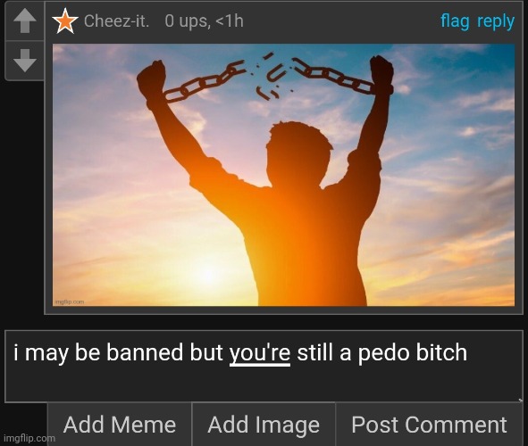 made w/ Imgflip meme maker