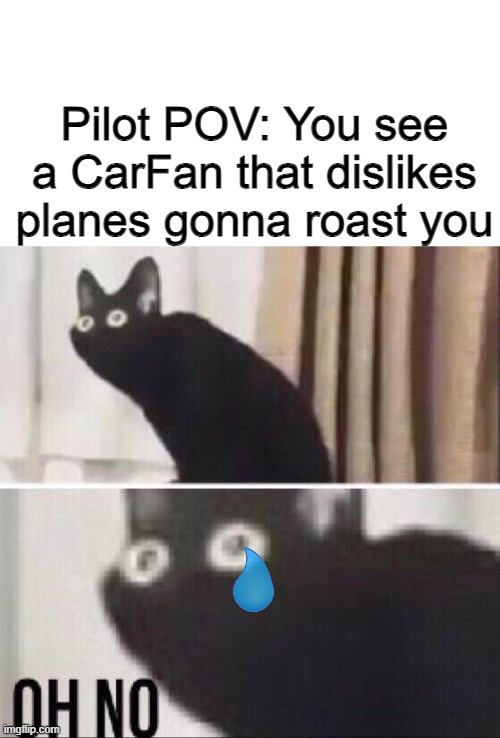 Oh no....... | Pilot POV: You see a CarFan that dislikes planes gonna roast you | image tagged in oh no cat,memes | made w/ Imgflip meme maker