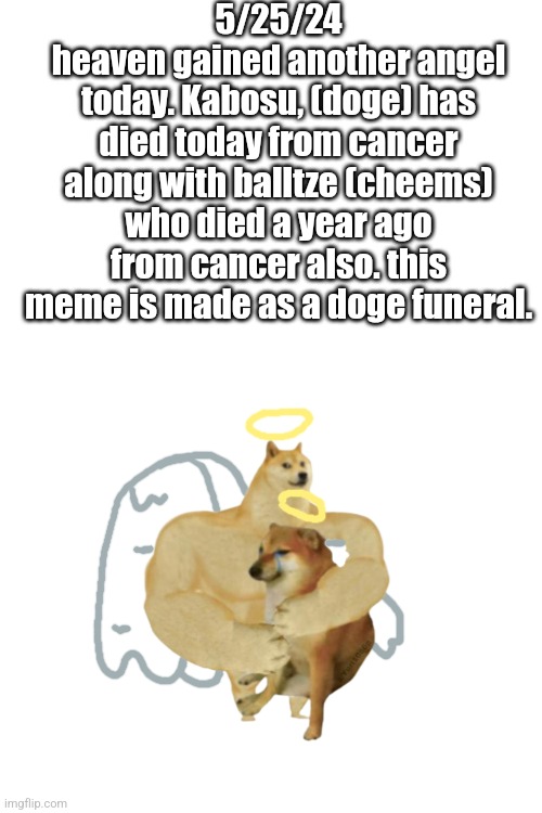 fly high doge. | 5/25/24
heaven gained another angel today. Kabosu, (doge) has died today from cancer along with balltze (cheems) who died a year ago from cancer also. this meme is made as a doge funeral. | image tagged in rip doge | made w/ Imgflip meme maker