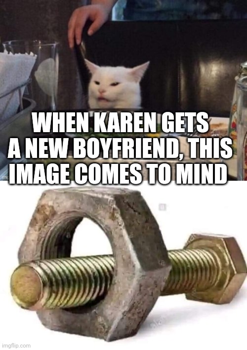 WHEN KAREN GETS A NEW BOYFRIEND, THIS IMAGE COMES TO MIND | image tagged in smudge that darn cat | made w/ Imgflip meme maker