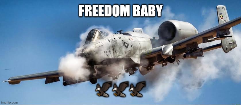 FREEDOM BABY ??? | made w/ Imgflip meme maker