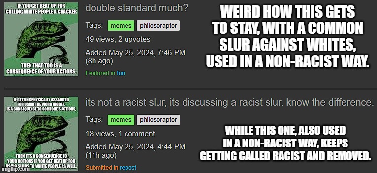 the double standard | WEIRD HOW THIS GETS TO STAY, WITH A COMMON SLUR AGAINST WHITES, USED IN A NON-RACIST WAY. WHILE THIS ONE, ALSO USED IN A NON-RACIST WAY, KEEPS GETTING CALLED RACIST AND REMOVED. | made w/ Imgflip meme maker