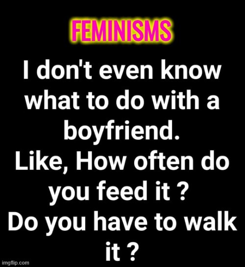 Boyfriends for Beginners ! | image tagged in walk | made w/ Imgflip meme maker