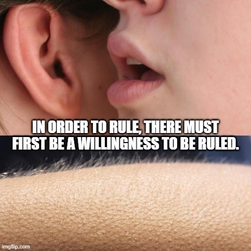 Whisper and Goosebumps | IN ORDER TO RULE, THERE MUST FIRST BE A WILLINGNESS TO BE RULED. | image tagged in whisper and goosebumps | made w/ Imgflip meme maker