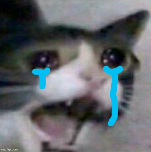 crying cat | image tagged in crying cat | made w/ Imgflip meme maker