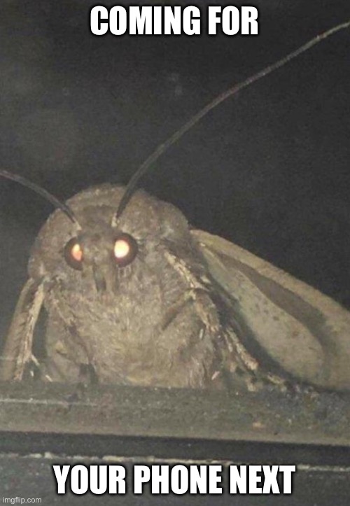 Moth | COMING FOR; YOUR PHONE NEXT | image tagged in moth | made w/ Imgflip meme maker