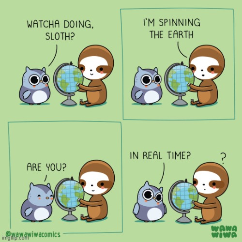 image tagged in owl,sloth,globe,earth,spinning,slow | made w/ Imgflip meme maker