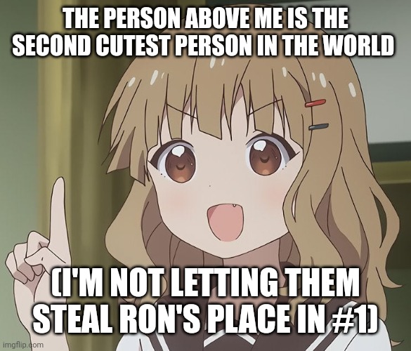 The person above me | THE PERSON ABOVE ME IS THE SECOND CUTEST PERSON IN THE WORLD; (I'M NOT LETTING THEM STEAL RON'S PLACE IN #1) | image tagged in the person above me | made w/ Imgflip meme maker