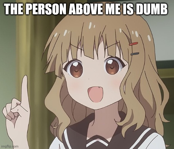 The person above me | THE PERSON ABOVE ME IS DUMB | image tagged in the person above me | made w/ Imgflip meme maker