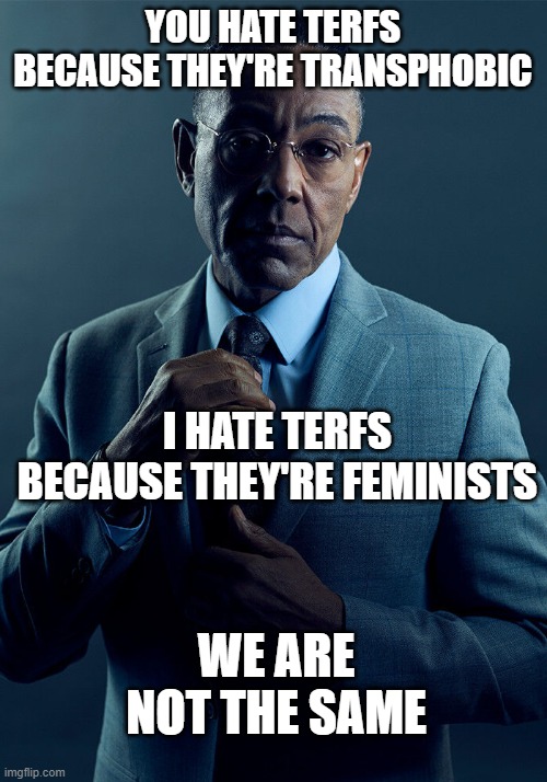 different tastes | YOU HATE TERFS BECAUSE THEY'RE TRANSPHOBIC; I HATE TERFS BECAUSE THEY'RE FEMINISTS; WE ARE NOT THE SAME | image tagged in gus fring we are not the same,feminist,politics | made w/ Imgflip meme maker