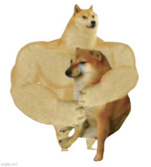 Buff Doge hugs cheems transparent | image tagged in buff doge hugs cheems transparent | made w/ Imgflip meme maker
