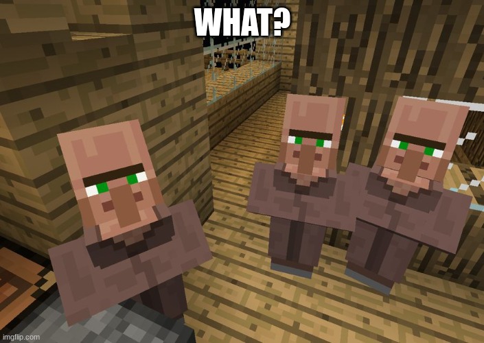 Minecraft Villagers | WHAT? | image tagged in minecraft villagers | made w/ Imgflip meme maker