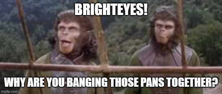 Brighteyes | BRIGHTEYES! WHY ARE YOU BANGING THOSE PANS TOGETHER? | image tagged in planet of the apes | made w/ Imgflip meme maker